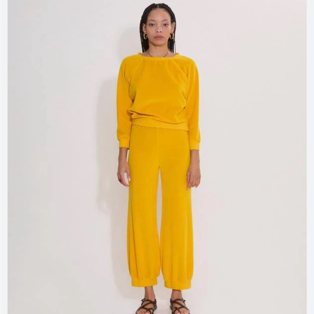 Suzi Kondi Saba Raglan Velour Top in Oro Never Worn